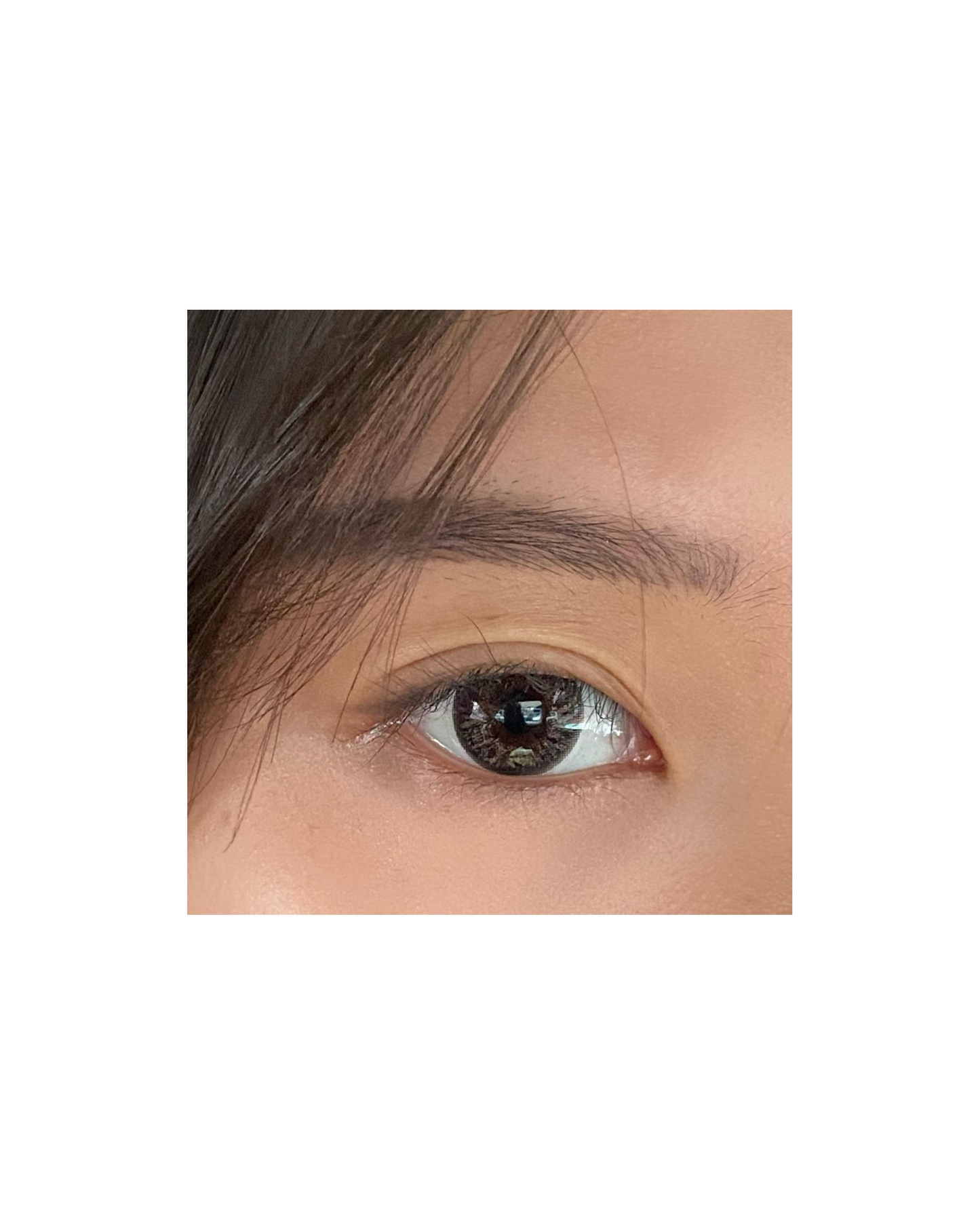 Daily Lens - Korean Ash