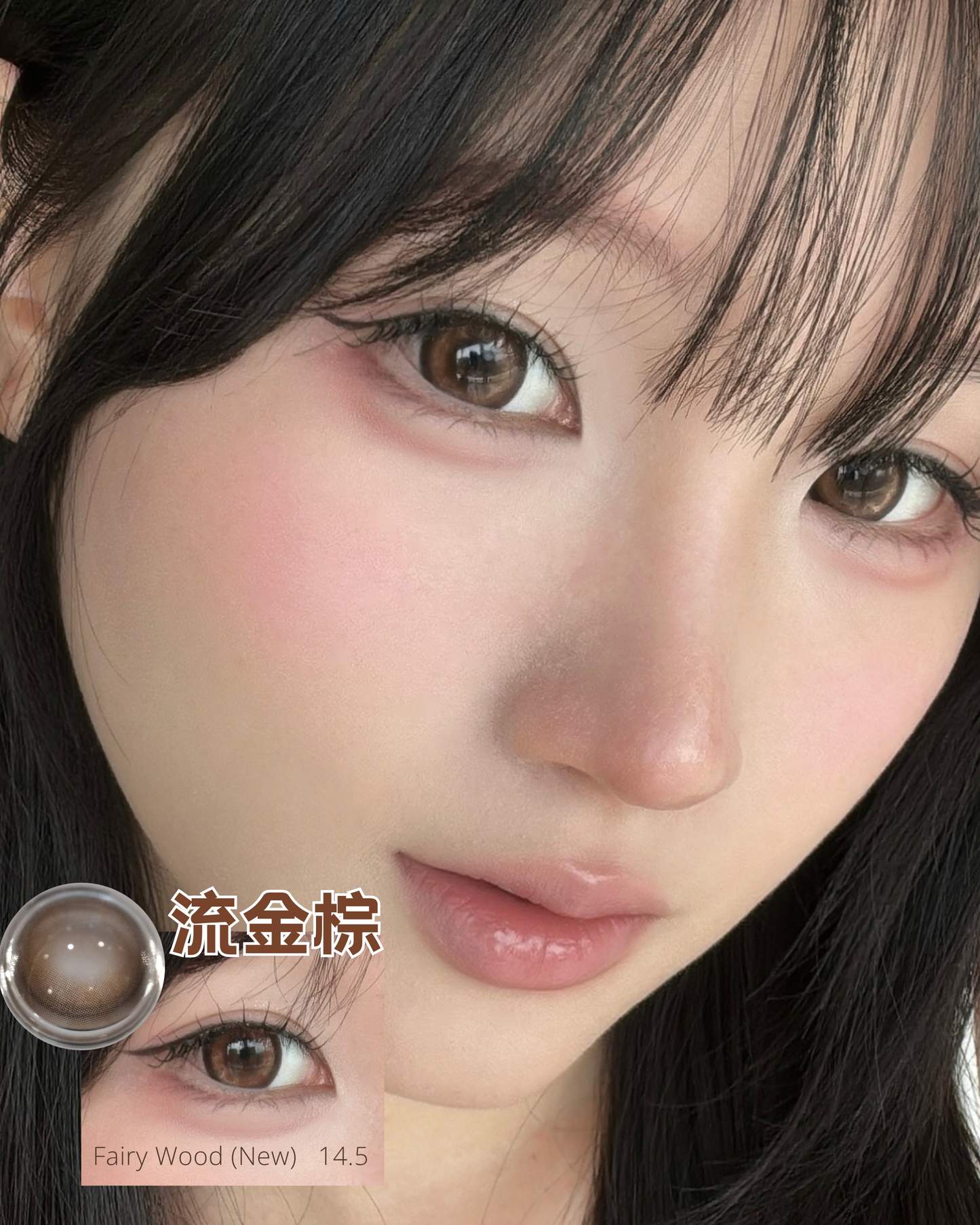 55% Monthly - Fairy Wood