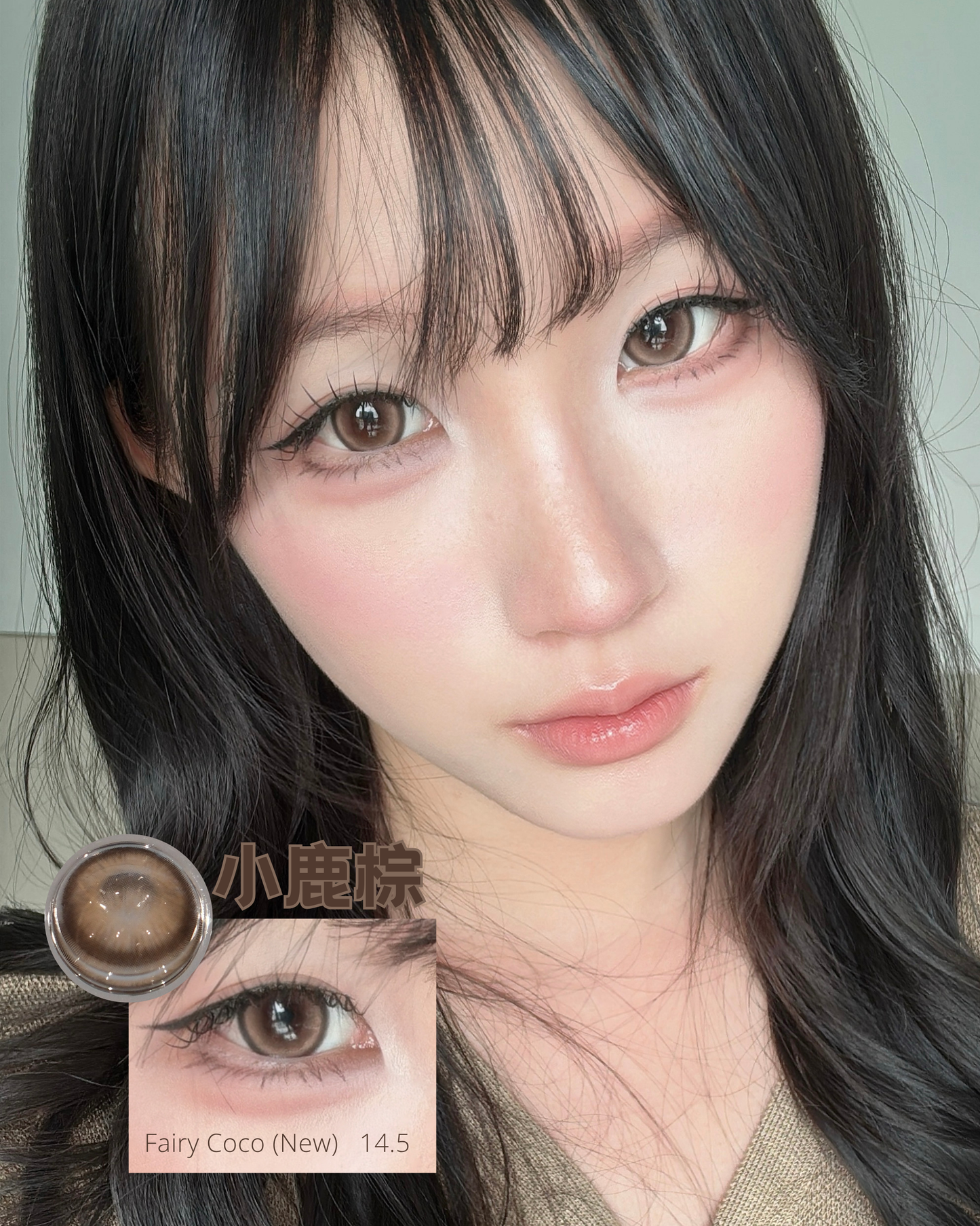 55% Monthly - Fairy Coco