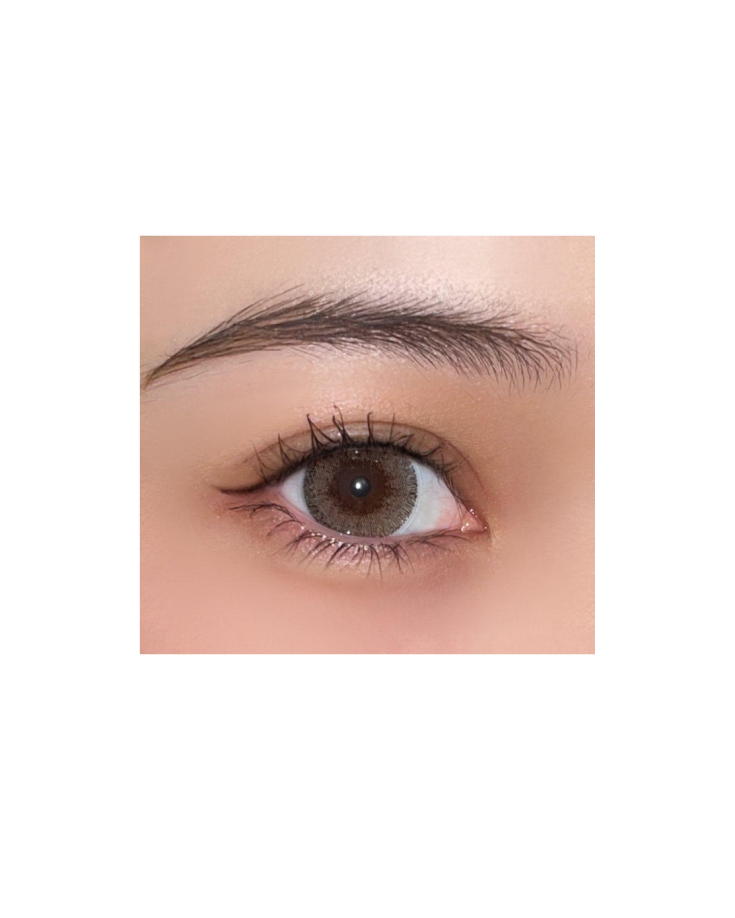 Daily Lens - Snowhite Tears